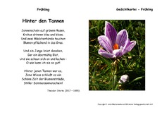 Hinter-den-Tannen-Storm.pdf